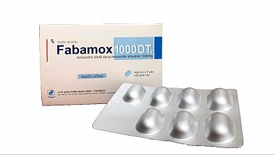 FABAMOX 1000 DT Pharbaco